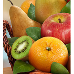 Fruit Basket Shop Japan | Premier Fruits