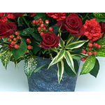 Cheap Flower Delivery Japan