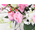 Flora Japan