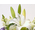 sympathy-flowers-to-japan-funeral-flowers