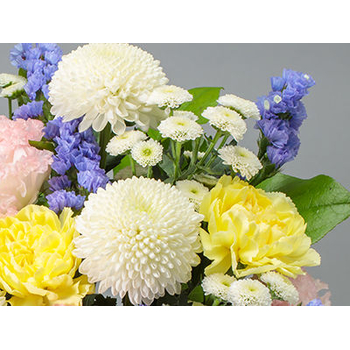 Japan Florist