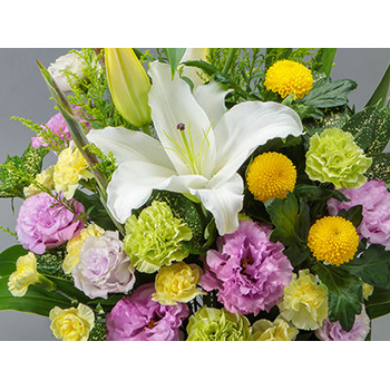 japan florist