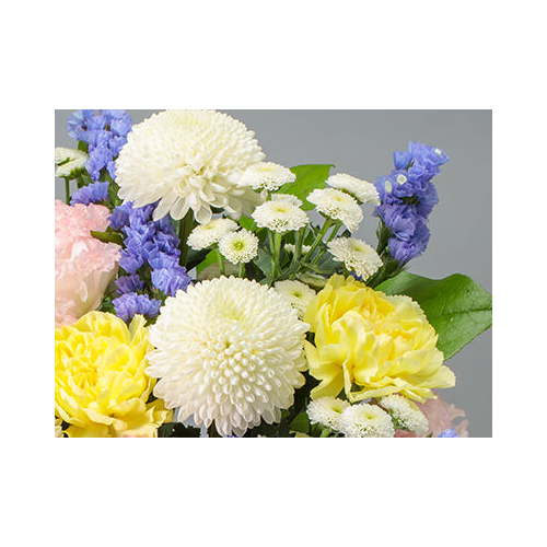 Japan Florist