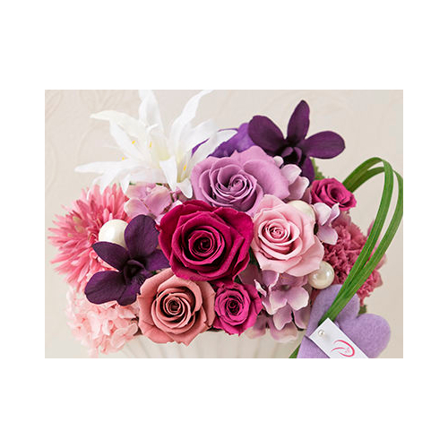 Preserved Flower Japan – Violet Preserve Flowers