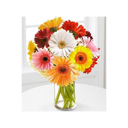 12 Multi-Color Gerbera Daisies Vase - Send Flowers Japan Online