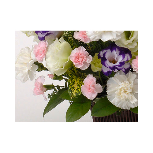 Sympathy Flowers to Japan – Funeral Flowers